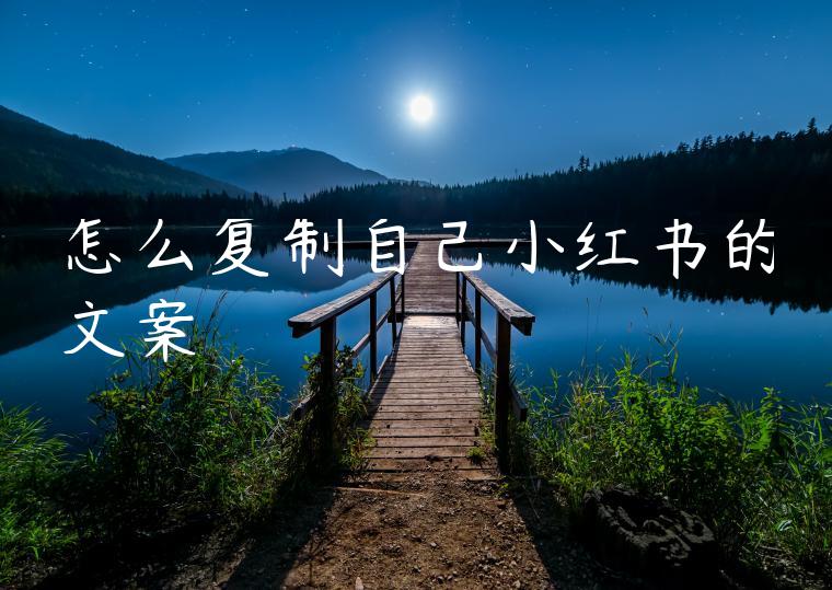 怎么复制自己小红书的文案