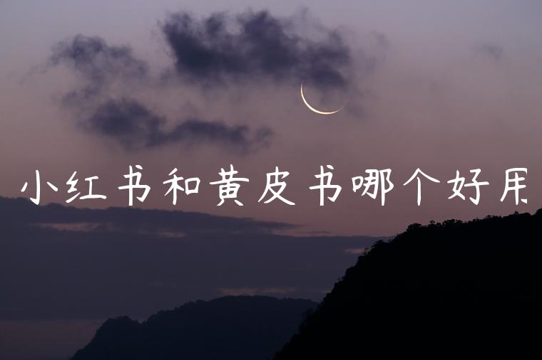 小红书和黄皮书哪个好用