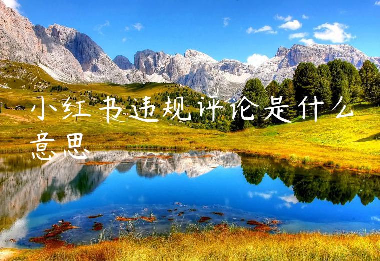 小红书违规评论是什么意思 小红书违规评论是什么意思