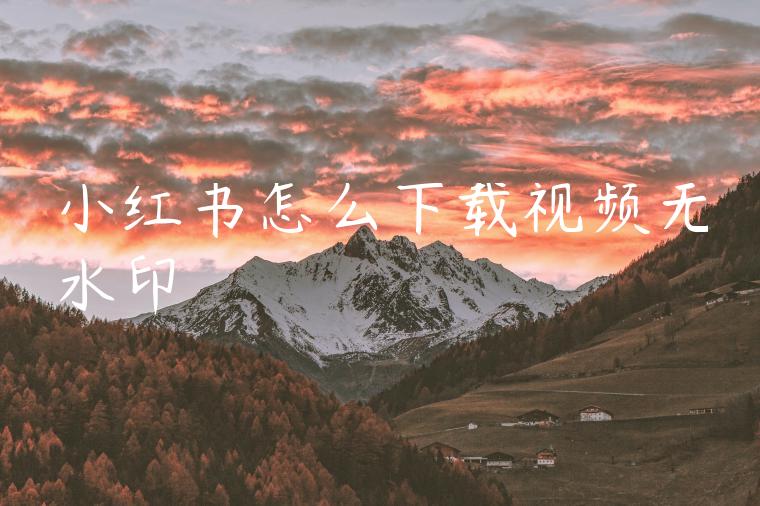 小红书怎么下载视频无水印
