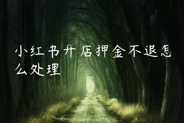 小红书开店押金不退怎么处理 小红书开店押金不退怎么处理