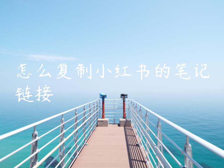 怎么复制小红书的笔记链接