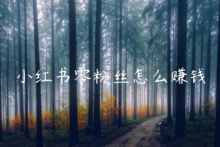 小红书零粉丝怎么赚钱