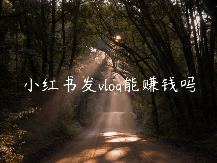 小红书发vlog能赚钱吗