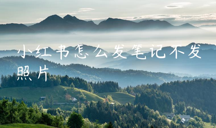 小红书怎么发笔记不发照片 小红书怎么发笔记不发照片