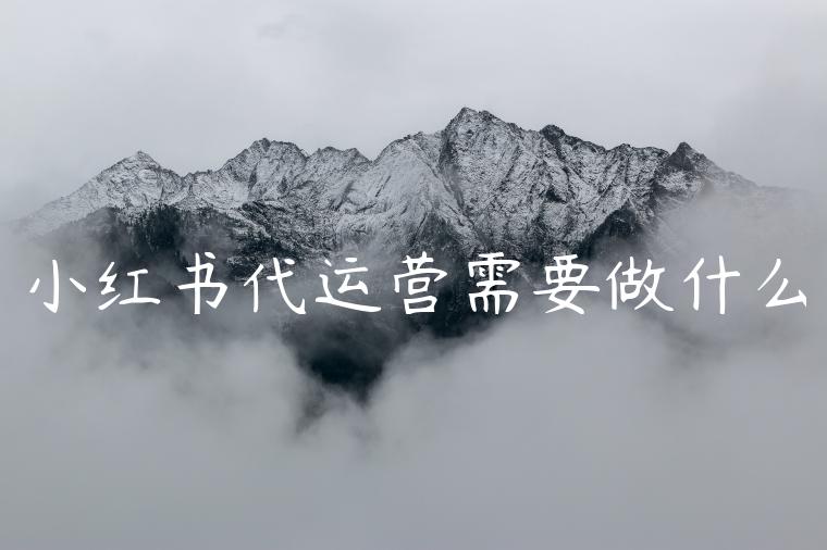 小红书代运营需要做什么
