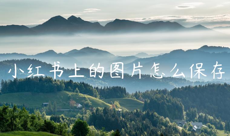 小红书上的图片怎么保存 小红书上的图片怎么保存