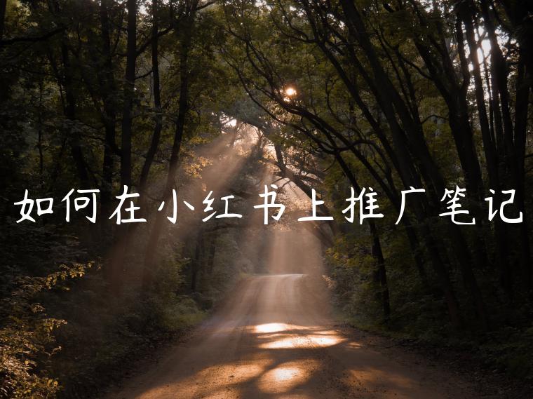 如何在小红书上推广笔记 如何在小红书上推广笔记
