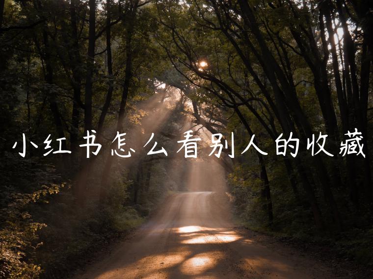 小红书怎么看别人的收藏