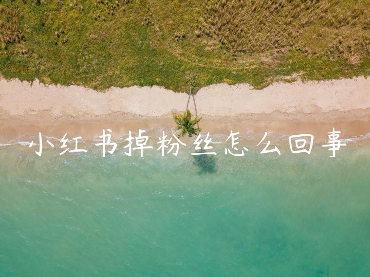 小红书掉粉丝怎么回事 小红书掉粉丝怎么回事