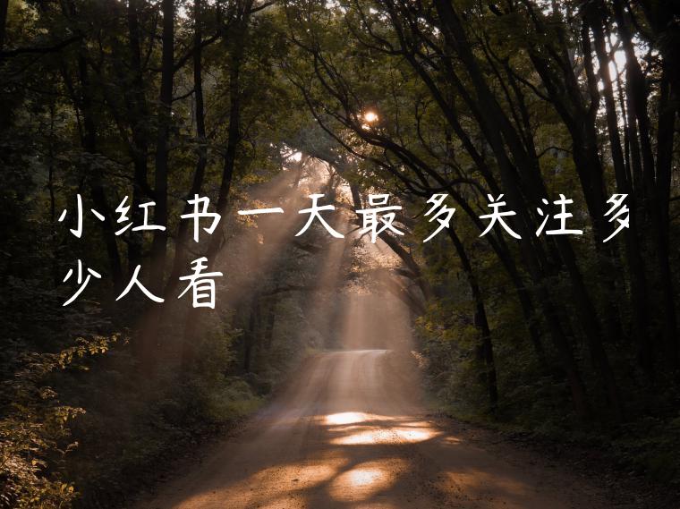 小红书一天最多关注多少人看