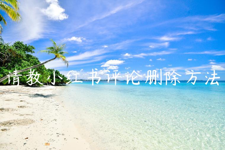 请教小红书评论删除方法 请教小红书评论删除方法