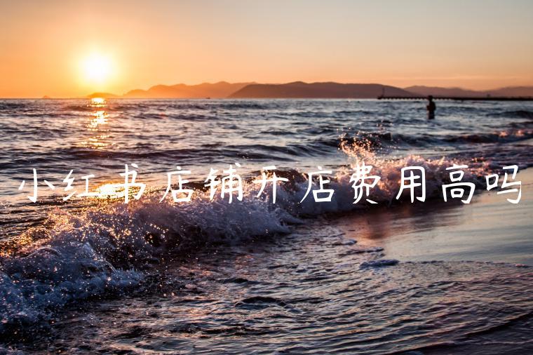 小红书店铺开店费用高吗