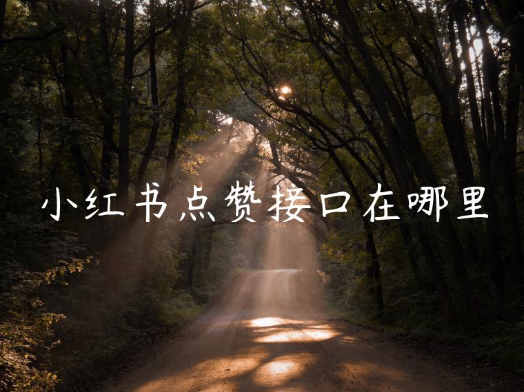 小红书点赞接口在哪里 小红书点赞接口在哪里