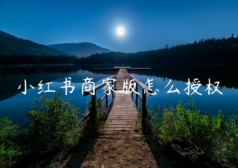 小红书商家版怎么授权 小红书商家版怎么授权