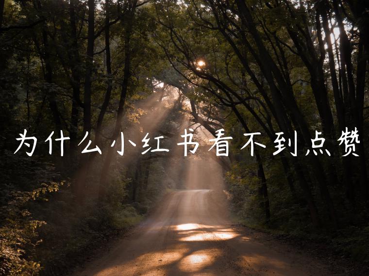 为什么小红书看不到点赞 为什么小红书看不到点赞