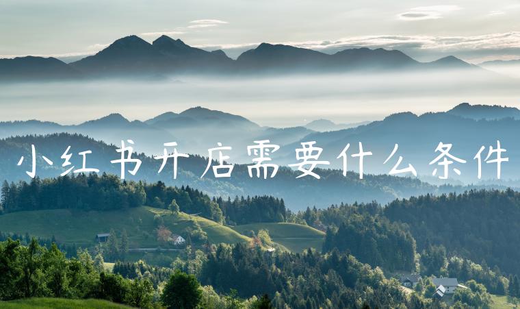 小红书开店需要什么条件 小红书开店需要什么条件