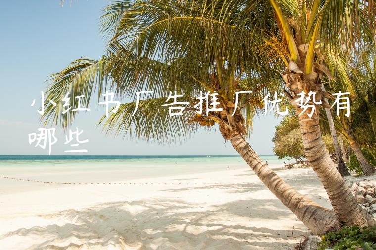 小红书广告推广优势有哪些