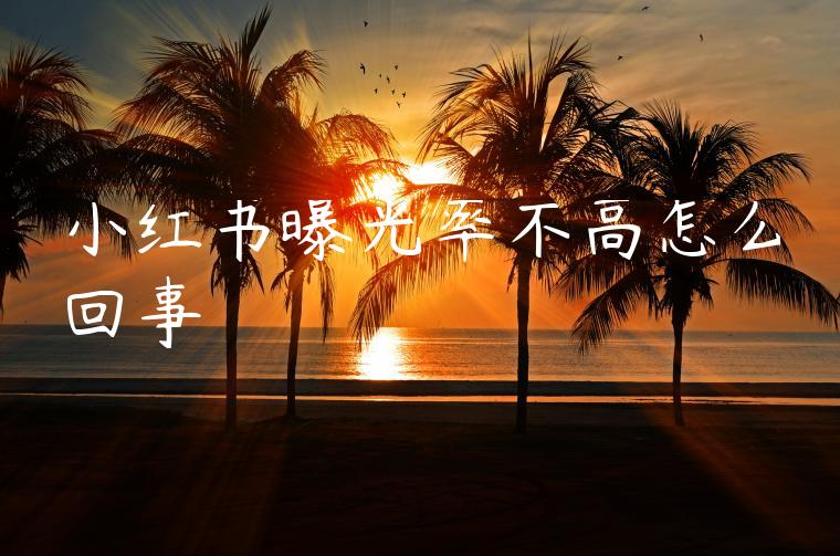 小红书曝光率不高怎么回事 小红书曝光率不高怎么回事