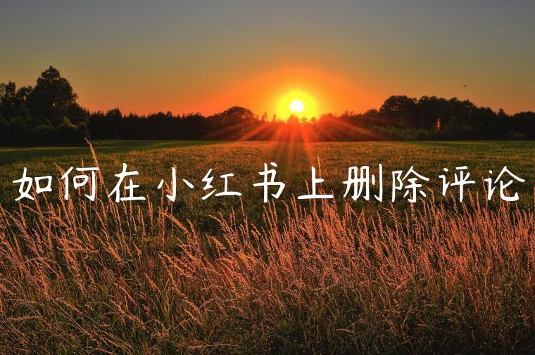 如何在小红书上删除评论