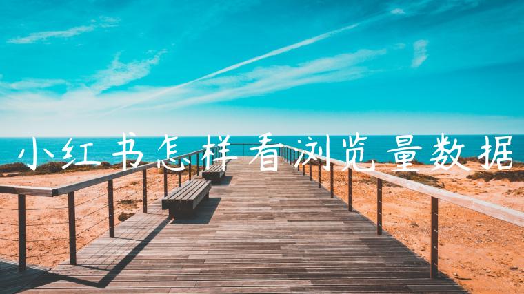 小红书怎样看浏览量数据 小红书怎样看浏览量数据