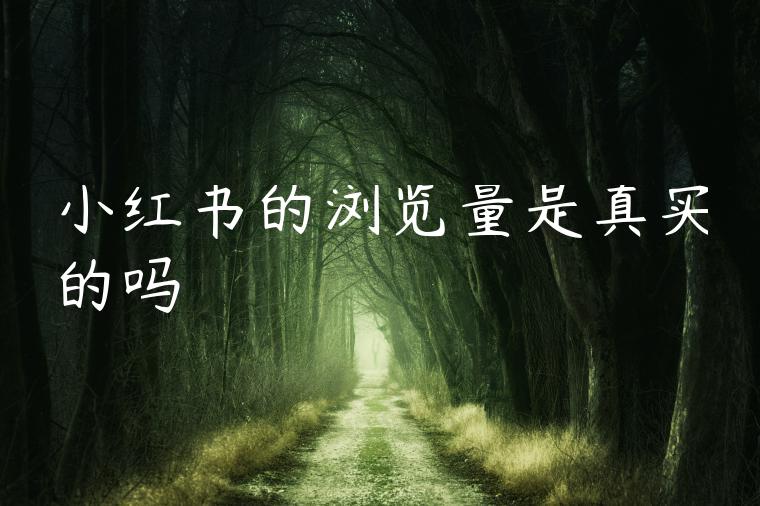 小红书的浏览量是真实的吗