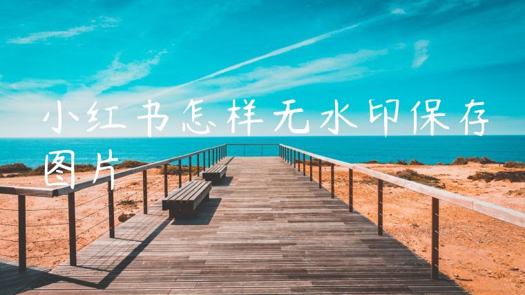 小红书怎样无水印保存图片