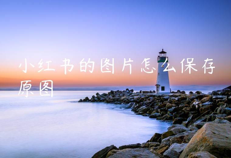 小红书的图片怎么保存原图 小红书的图片怎么保存原图
