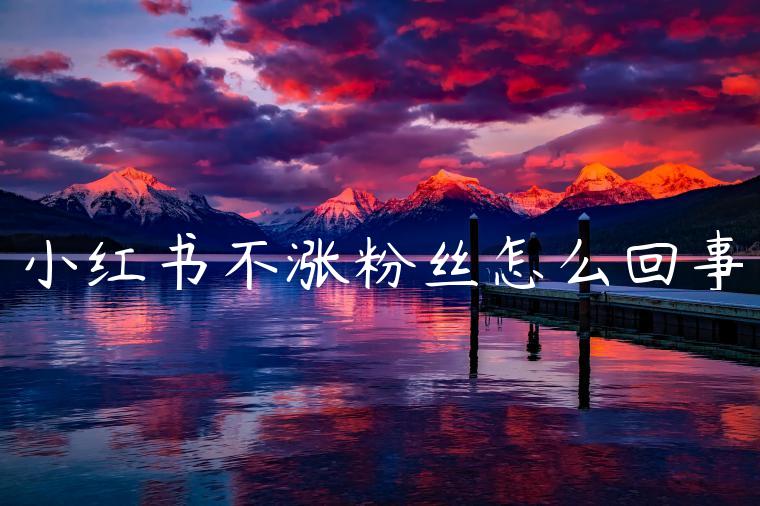 小红书不涨粉丝怎么回事 小红书不涨粉丝怎么回事