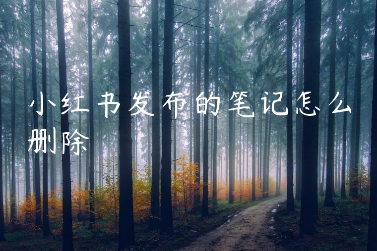 小红书发布的笔记怎么删除 小红书发布的笔记怎么删除