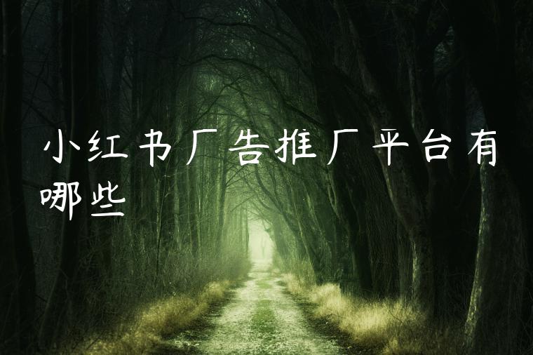 小红书广告推广平台有哪些