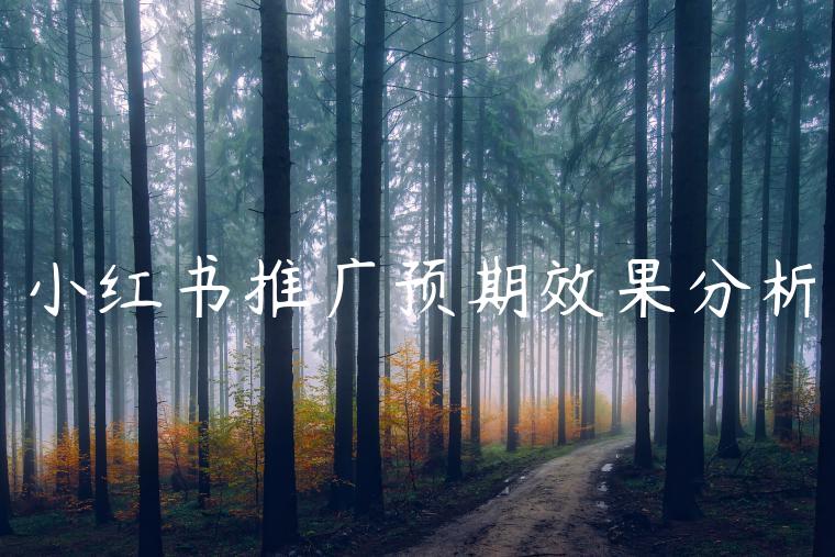 小红书推广预期效果分析 小红书推广预期效果分析