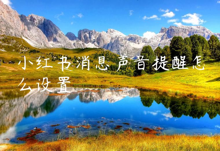 小红书消息声音提醒怎么设置