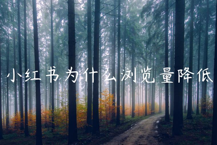 小红书为什么浏览量降低 小红书为什么浏览量降低