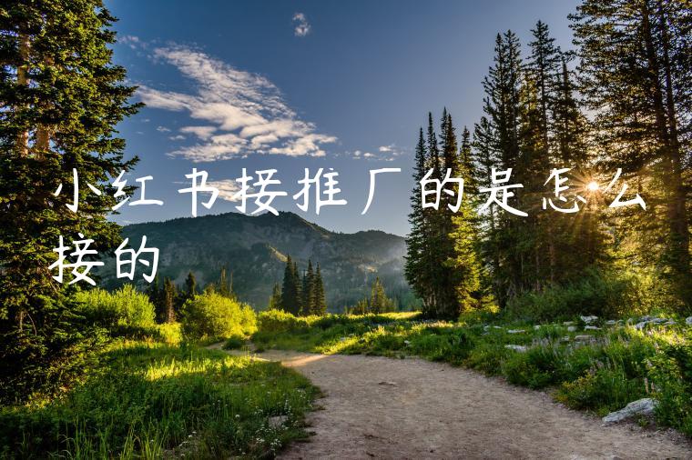 小红书接推广的是怎么接的