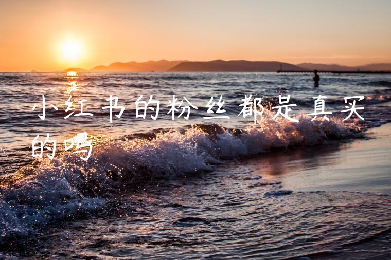 小红书的粉丝都是真实的吗 小红书的粉丝都是真实的吗