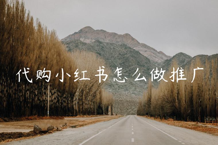 代购小红书怎么做推广 代购小红书怎么做推广