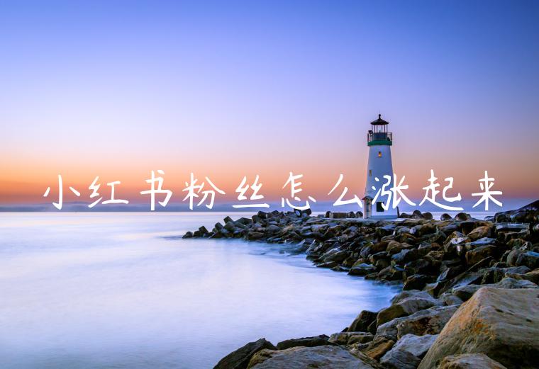 小红书粉丝怎么涨起来