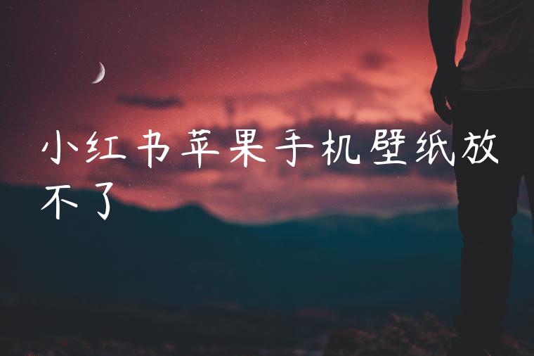 小红书苹果手机壁纸放不了