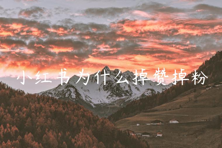 小红书为什么掉赞掉粉 小红书为什么掉赞掉粉