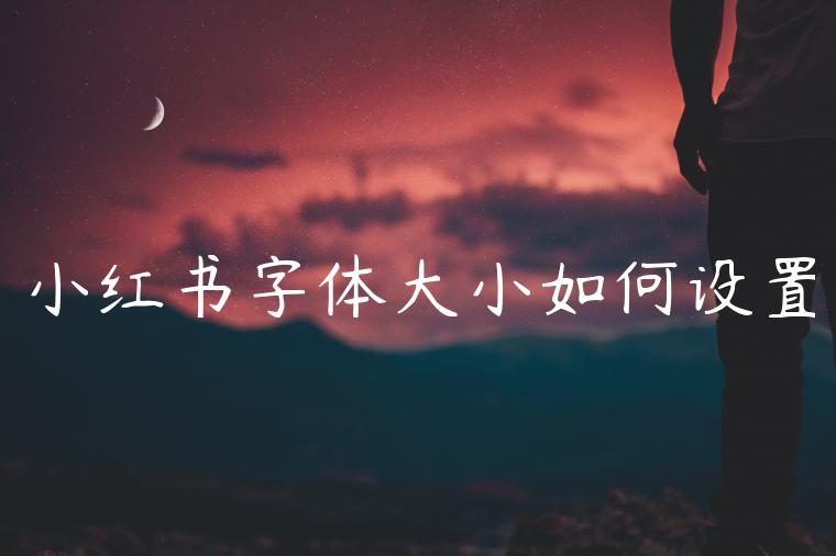小红书字体大小如何设置