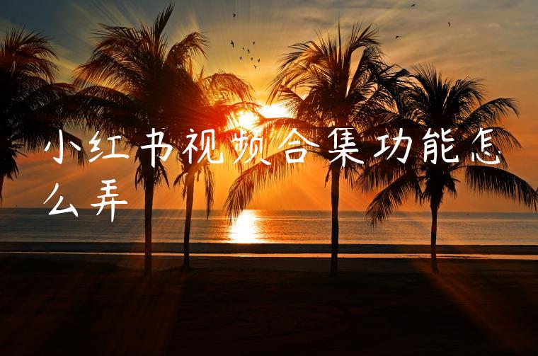 小红书视频合集功能怎么弄