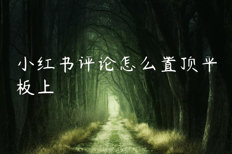 小红书评论怎么置顶平板上 小红书评论怎么置顶平板上