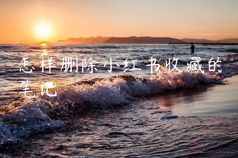 怎样删除小红书收藏的笔记