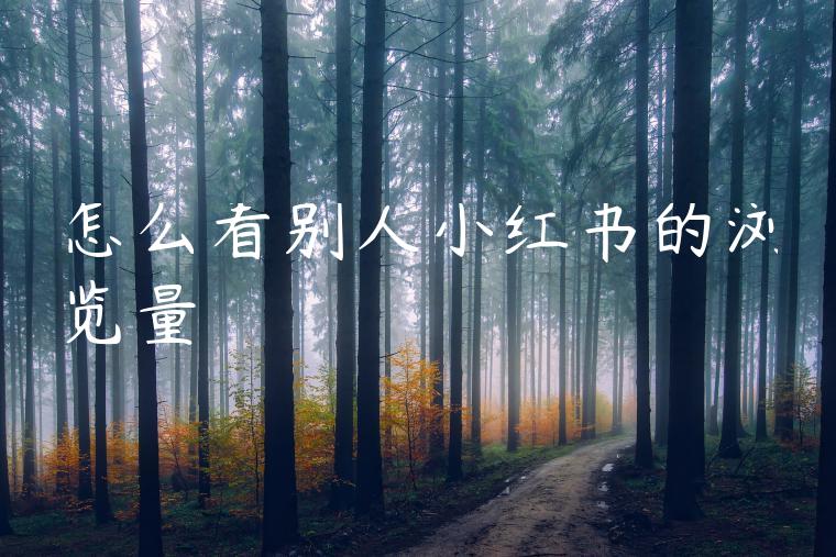 怎么看别人小红书的浏览量