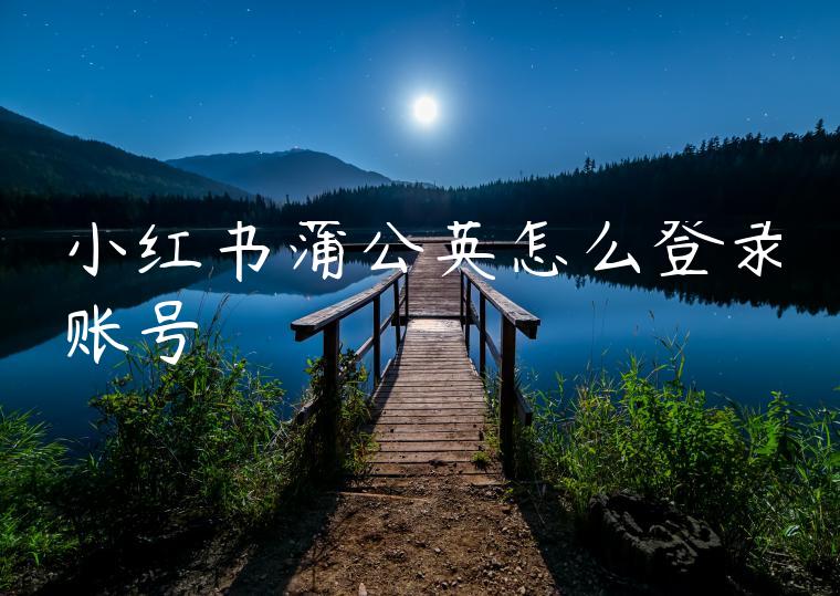 小红书蒲公英怎么登录账号