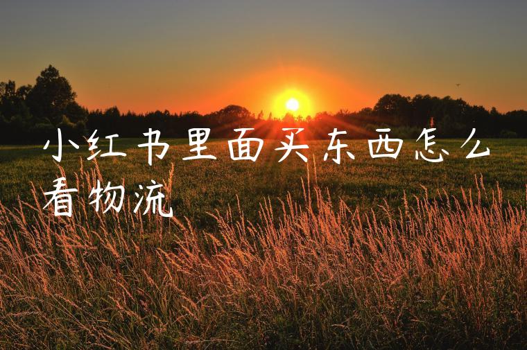 小红书里面买东西怎么看物流