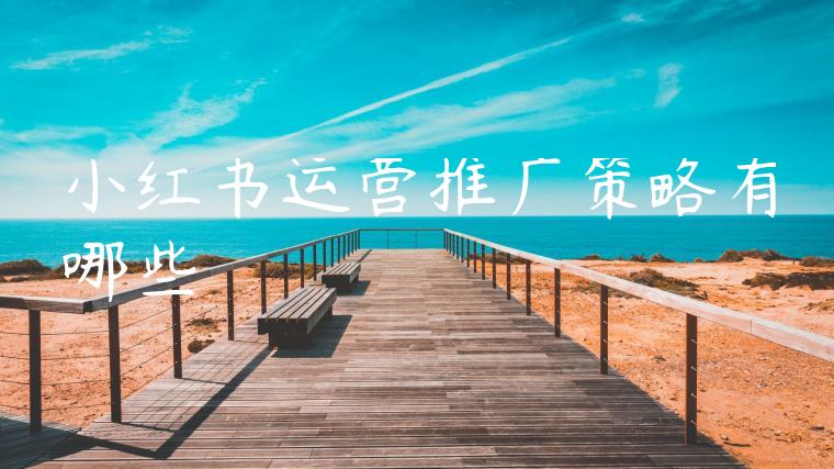 小红书运营推广策略有哪些