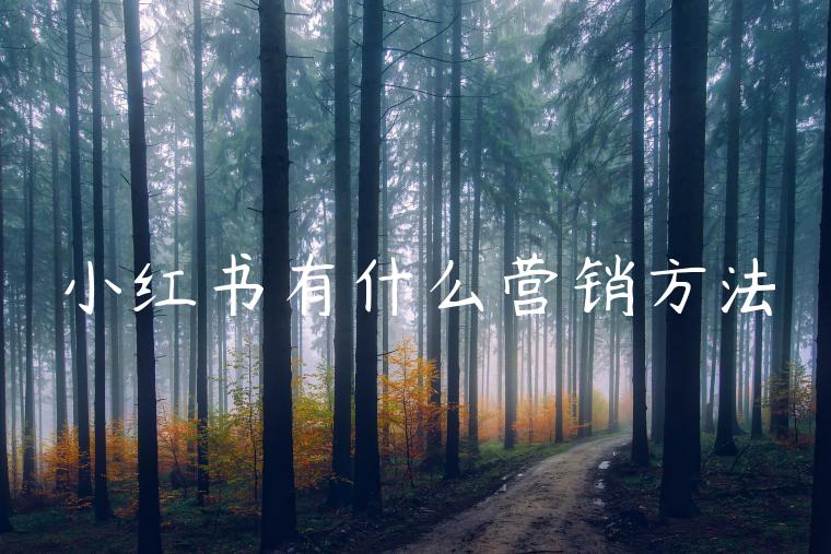 小红书有什么营销方法 小红书有什么营销方法