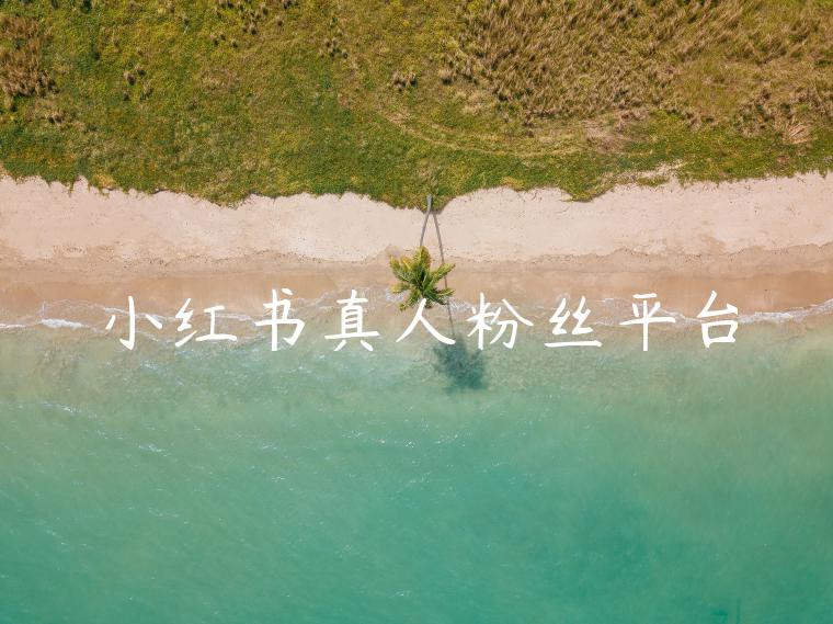 小红书真人粉丝平台 小红书真人粉丝平台